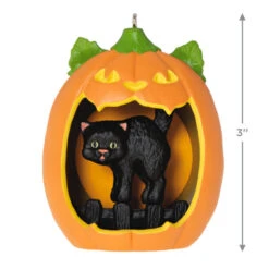Hallmark Happy Halloween! Ornament -Hallmark Store Black Cat Pumpkin Diorama Keepsake Ornament 1799QFO5311 03