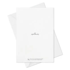 Hallmark Colorful Classic Boxed All-Occasion Cards Assortment, Pack Of 12 -Hallmark Store Celebrate Assorted Boxed AllOccasion Cards 3EDX1204 10