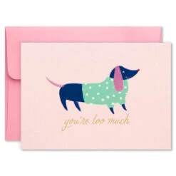 Hallmark Colorful And Fun Assorted Blank Note Cards, Box Of 24 19 Hallmark Colorful And Fun Assorted Blank Note Cards, Box Of 24 -Hallmark Store Colorful and Fun Assorted Blank Note Cards 1SOM3811 08