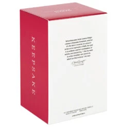 Hallmark Father Christmas Ornament -Hallmark Store Father Christmas With Toy Bag Keepsake Ornament 2499QXR8137 05