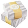 Hallmark 10" Gold And White Striped 2-Pack Gift Boxes With Bands -Hallmark Store Gold and White Striped 2Pack Gift Boxes With Bands 5EBC1226 01