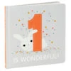 Hallmark One Is Wonderful! Birthday Book -Hallmark Store One Is Wonderful Birthday Book 1BOK1516 01