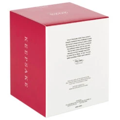 Hallmark The Peanuts® Gang Christmastime Is Here Musical Ornament With Motion -Hallmark Store Peanuts Gang Ice Skating Keepsake Ornament 3999QXI7037 05