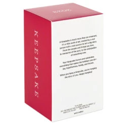 Hallmark Disney The Sword In The Stone 60th Anniversary Becoming King Arthur Ornament -Hallmark Store The Sword in the Stone Wart Keepsake Ornament 1999QXD6659 05