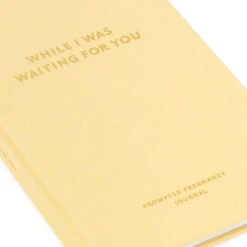 Hallmark While I Was Waiting Prompted Pregnancy Journal 20 Hallmark While I Was Waiting Prompted Pregnancy Journal -Hallmark Store Yellow Prompted Pregnancy Journal 1BBA4141 08
